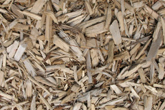biomass boilers Garrafad